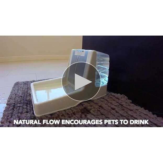 Pet Fountain N835331