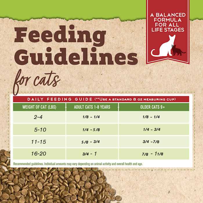 Organic Chicken & Liver Recipe Dry Cat Food X18282