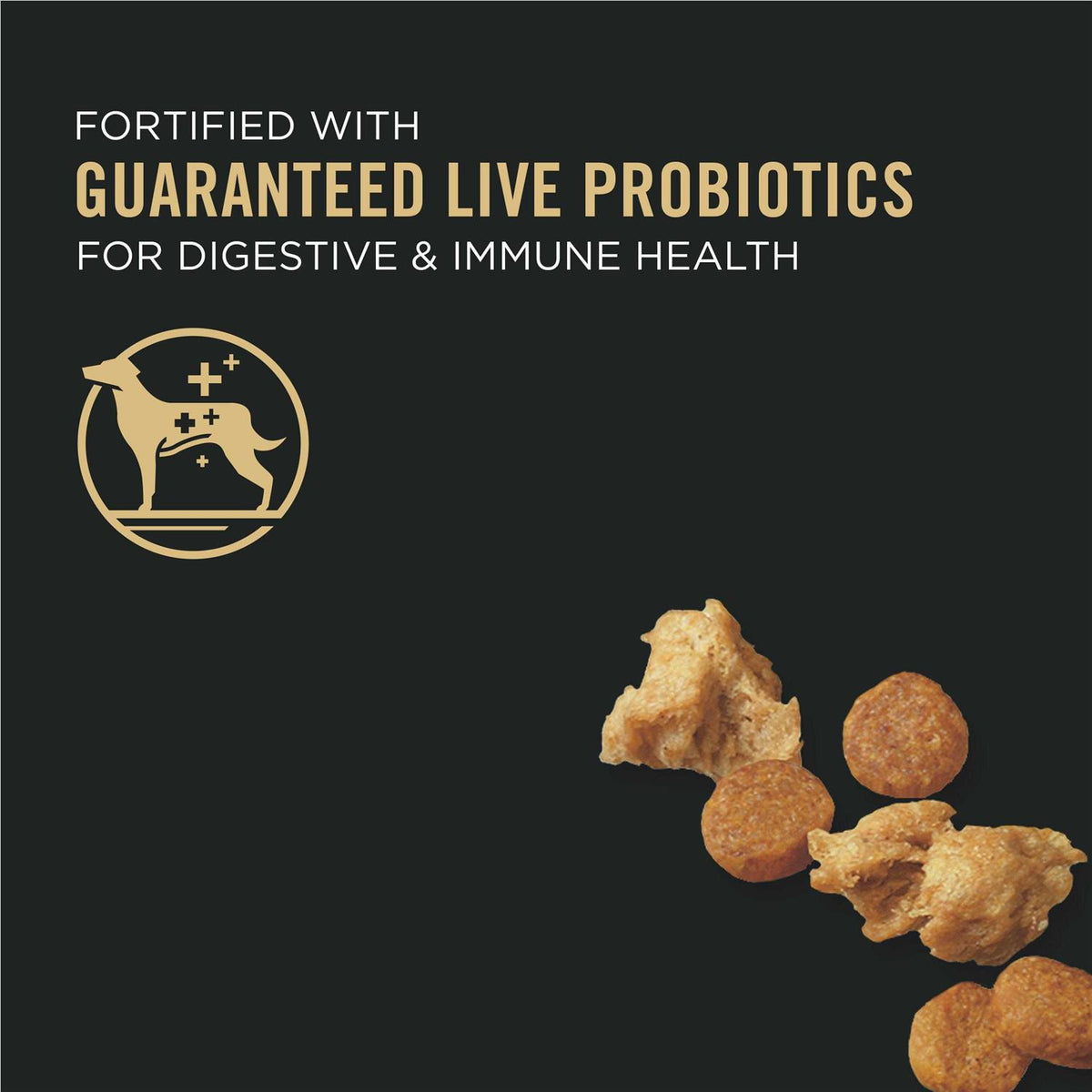 Chicken & Rice Dry Dog Food V155