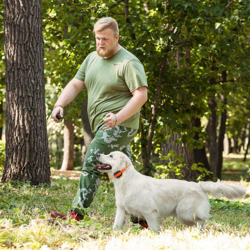 Dual Dog Training Shock Collar for 2 Dogs P645