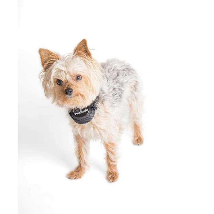 Rechargeable Receiver Collar L7859