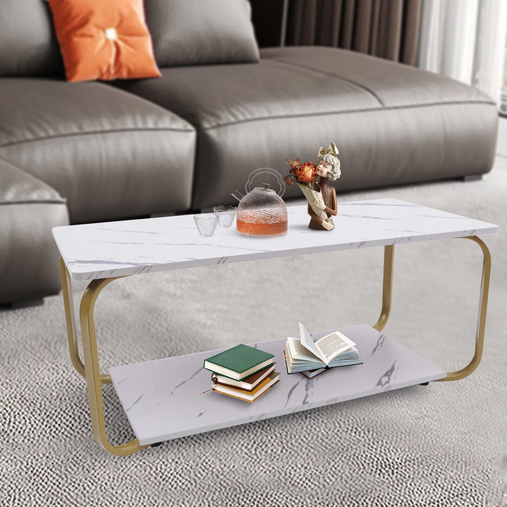 2-Tier Marble Coffee Table with Storage X585307