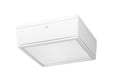 Vandalproof Canopy 20W Warm LED 120V White G644
