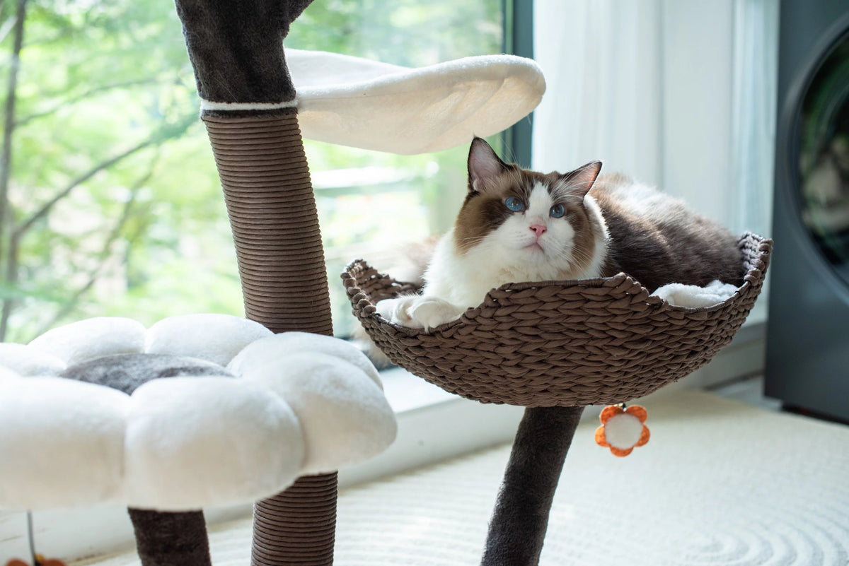 Natural Blossom Woven Tree Branches 6-Level Cat Tree with Hammock T37213