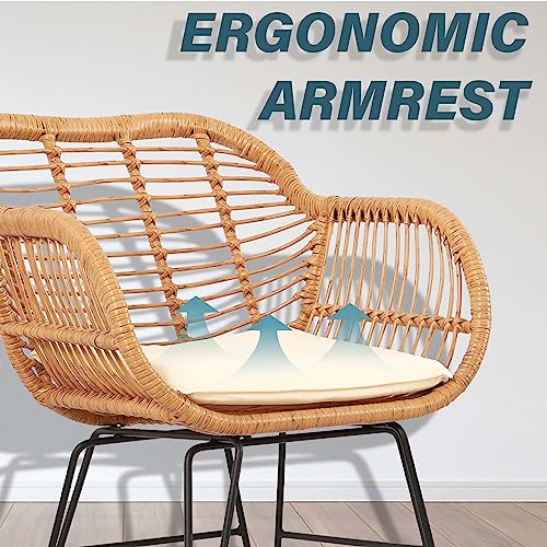 3 Piece Wicker Patio Set X6621