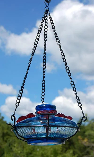 Aqua 16 oz Hummingbird Feeder with Perch K652