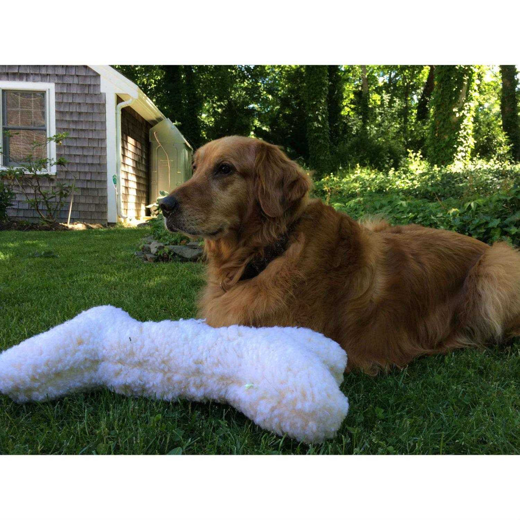 Dog Toy G2259