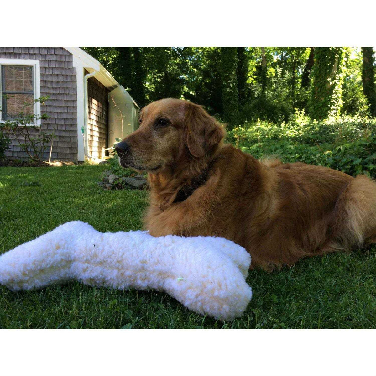 Dog Toy G2259