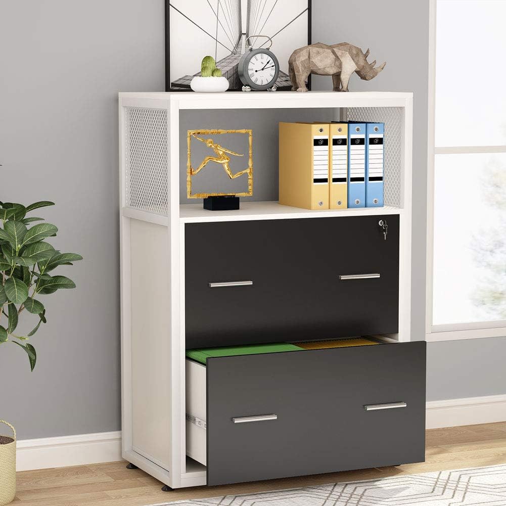 2 Drawer Locking File Cabinet with Storage Shelves C30679