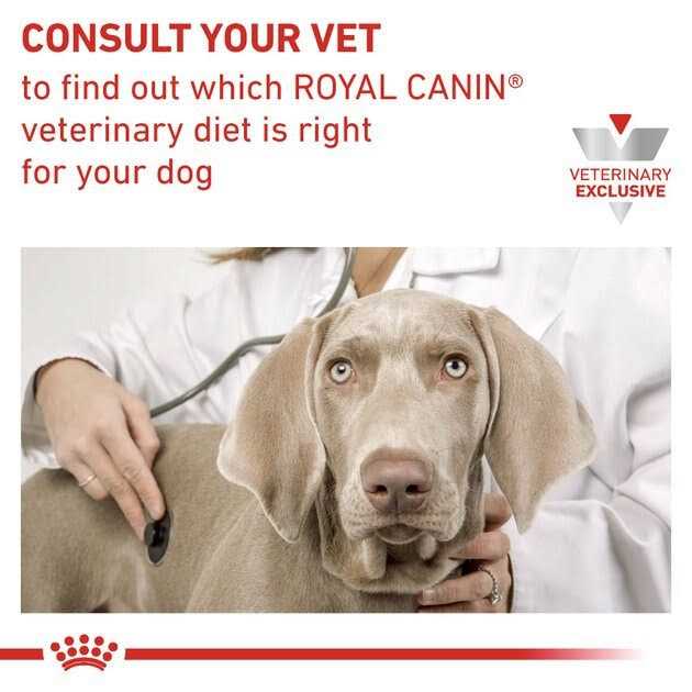 Urinary Canine Treats T572214