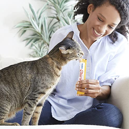Lickable Creamy Purée Cat Treats 24 Tubes O834