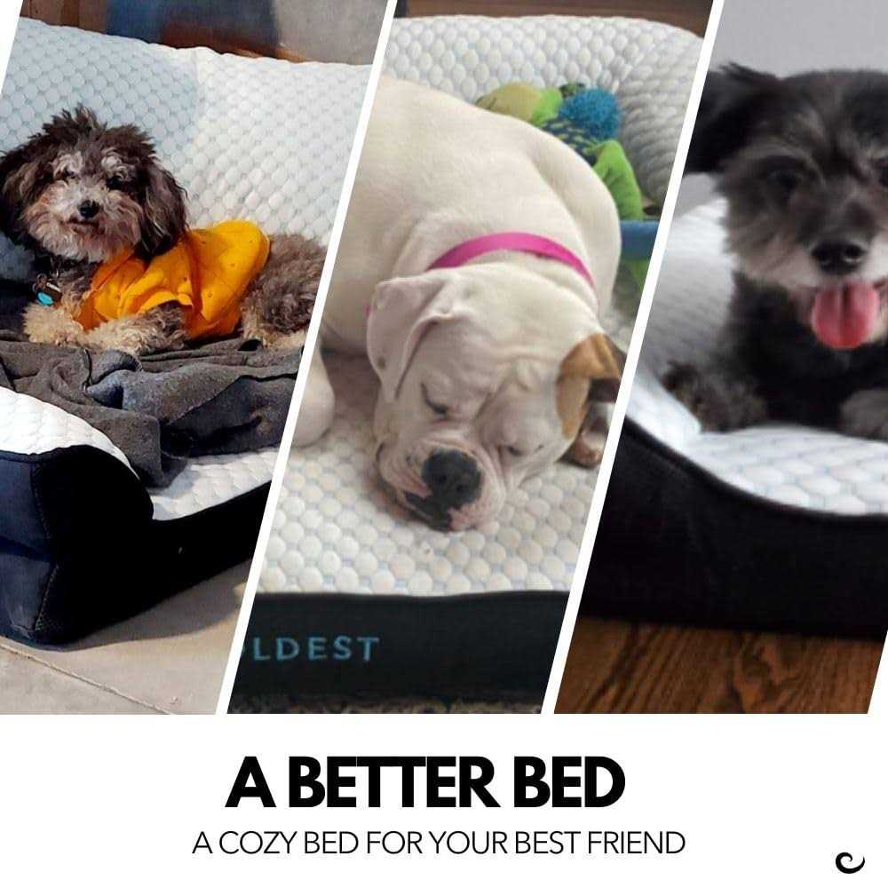 Cozy Cooling Medium Dog Bed Y288