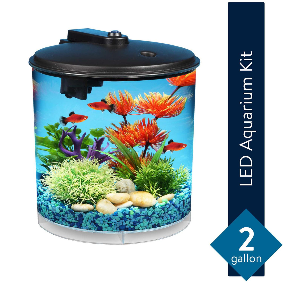 2-Gallon Plastic Aquarium with Power Filter & LED Lighting N949