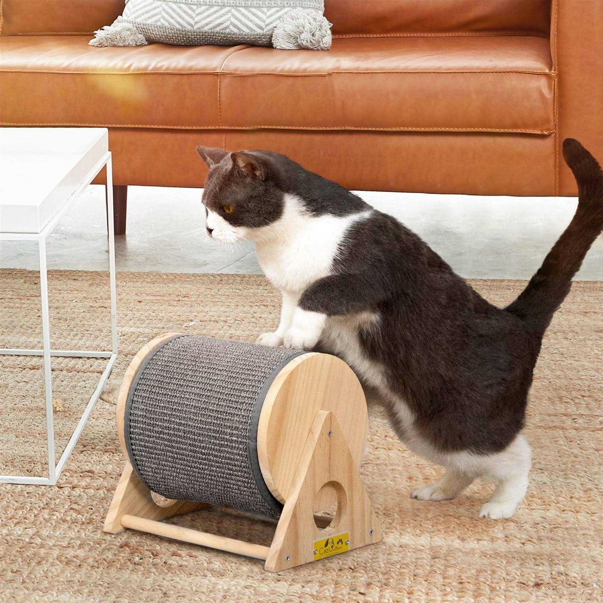 Cat Scratching Post Exercise Wheel I6441