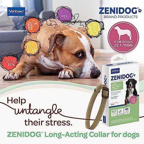 Long-acting Collar Medium/large S250