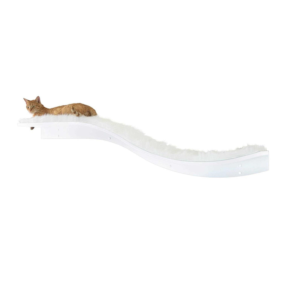 Cat Shelf J14784