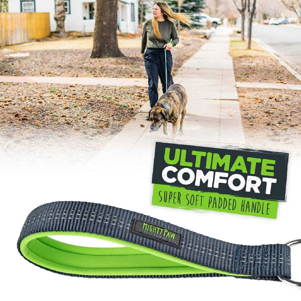 Chew-Proof Dog Seat Belt L411714