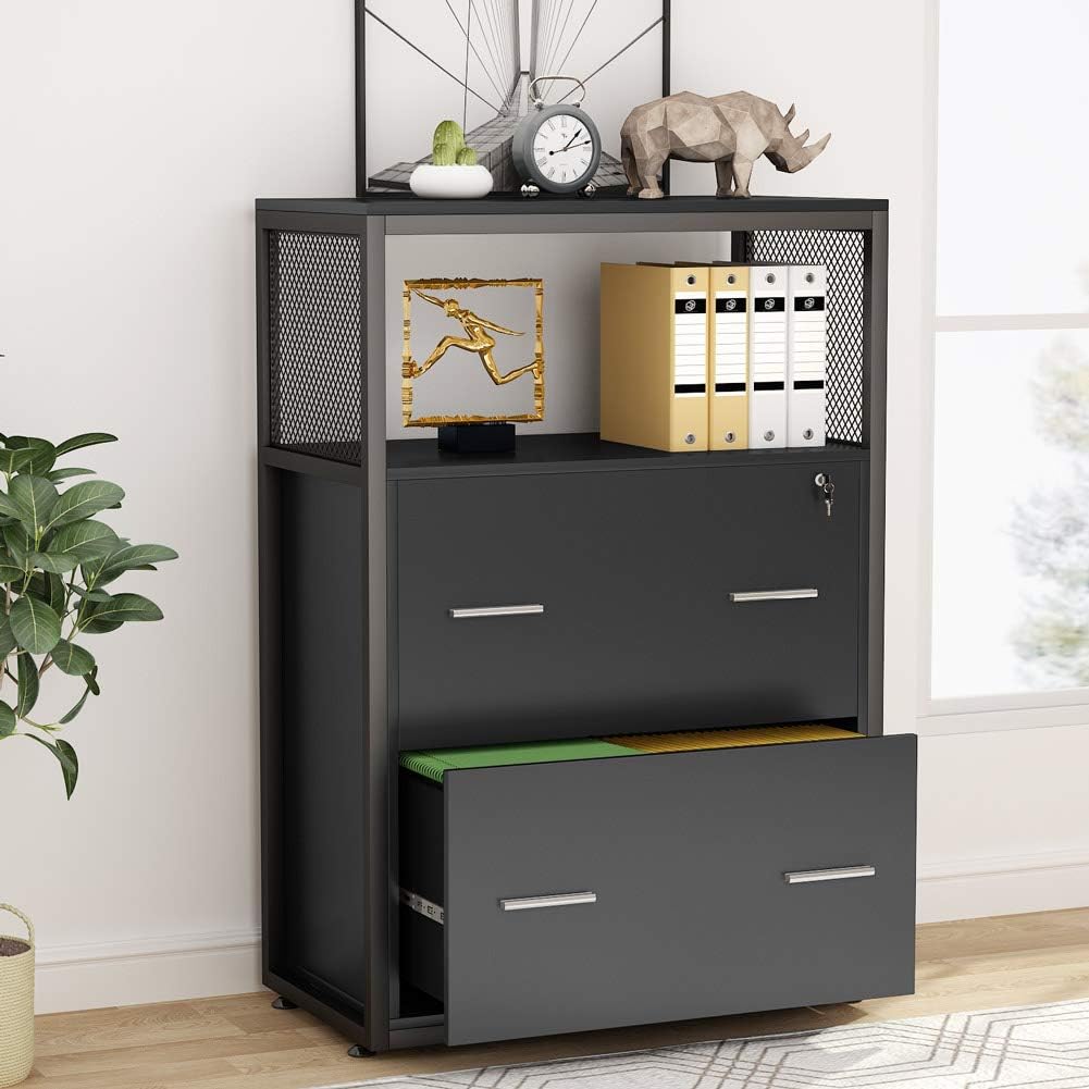 2 Drawer Locking File Cabinet with Storage Shelves C30679