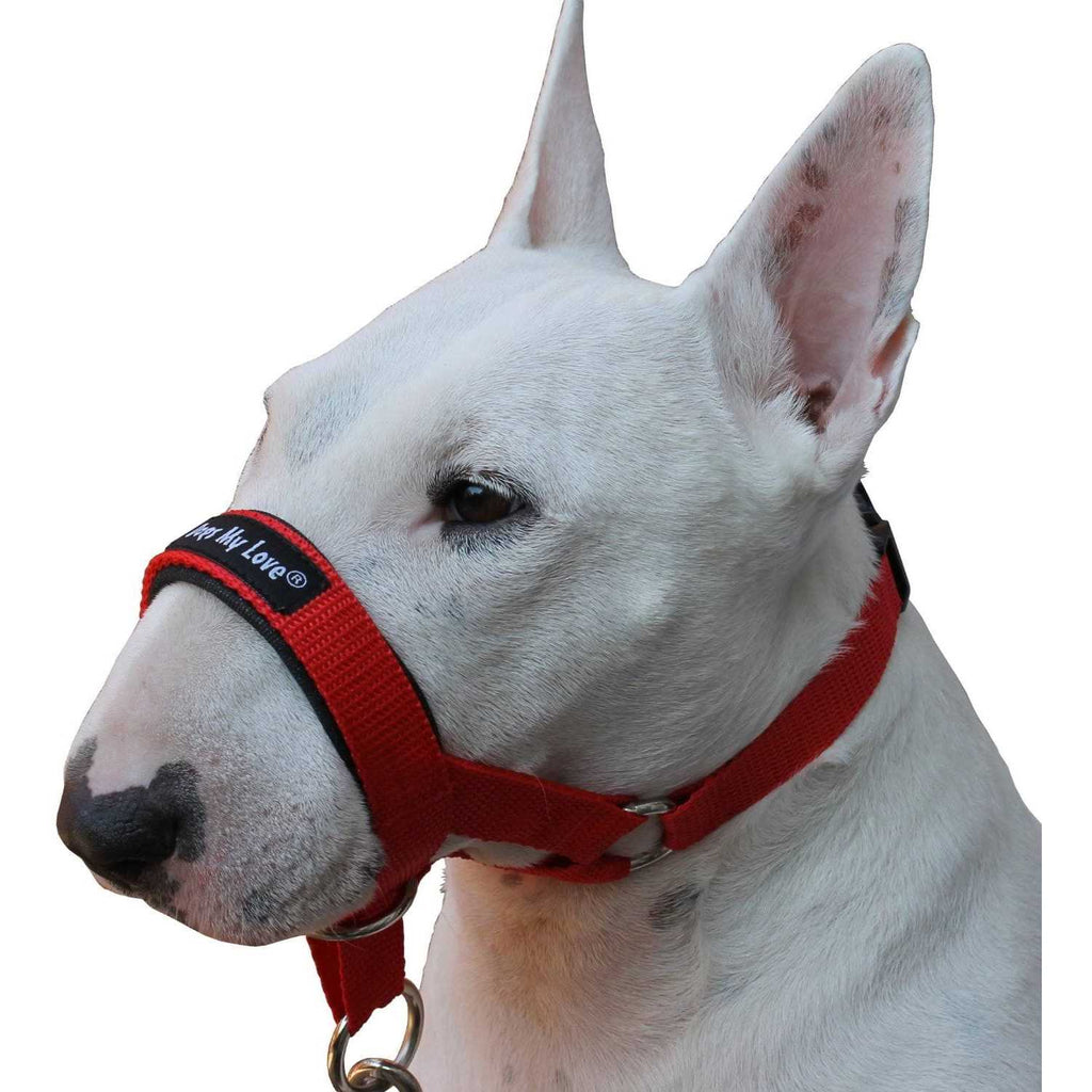 Dog Head Collar Halter Y753