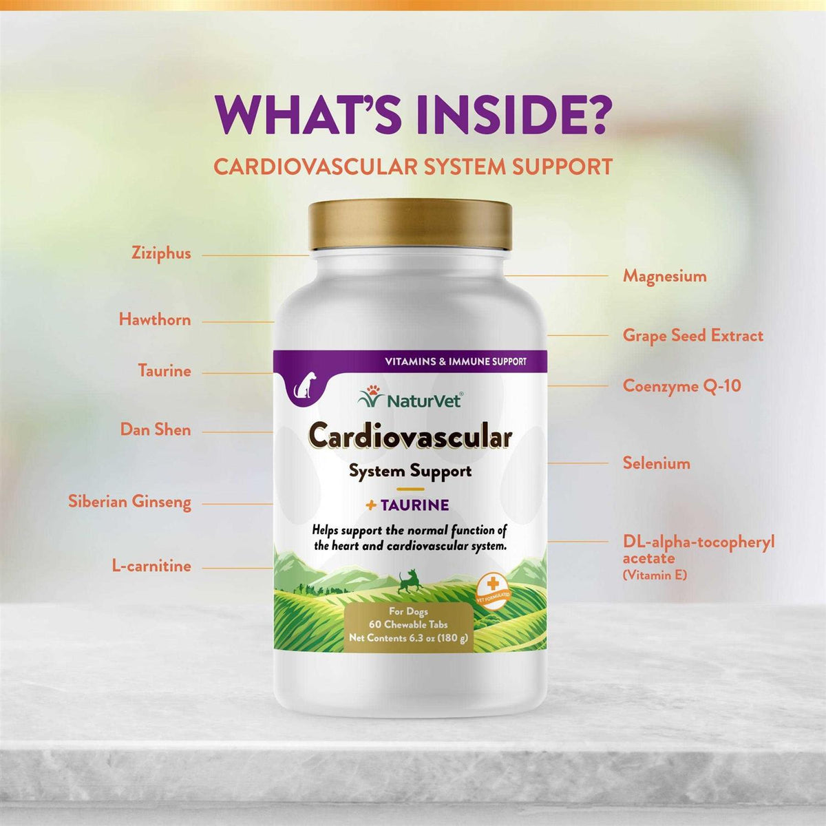Cardiovascular Support for Dogs R958