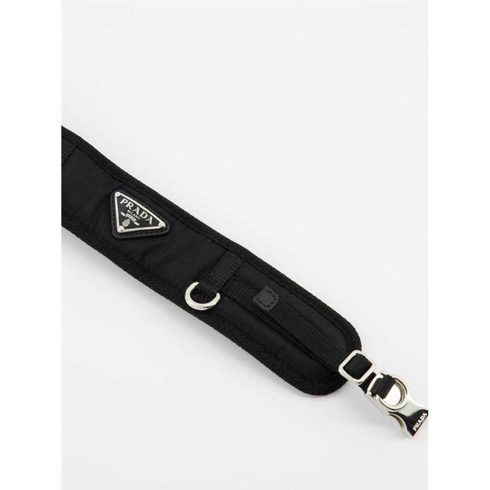 Pet Collar X490439