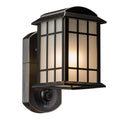 Bronze Camera Porch Light M956