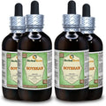 Dried Bean Alcohol-Free Liquid Extract 4x4 fl.oz Y426872