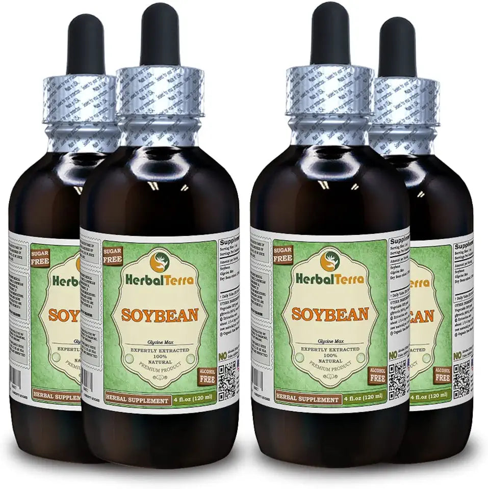 Dried Bean Alcohol-Free Liquid Extract 4x4 fl.oz Y426872