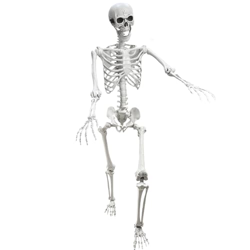 5.4Ft Posable Life Size Human Skeleton with Movable Joints N177178