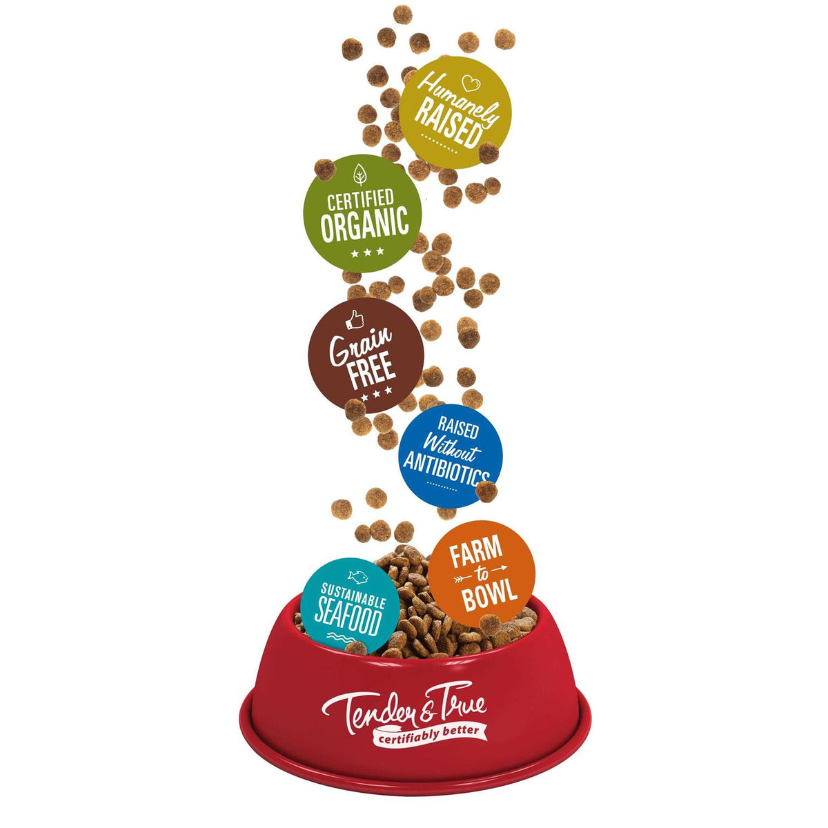 Organic Chicken & Liver Recipe Dry Cat Food X18282