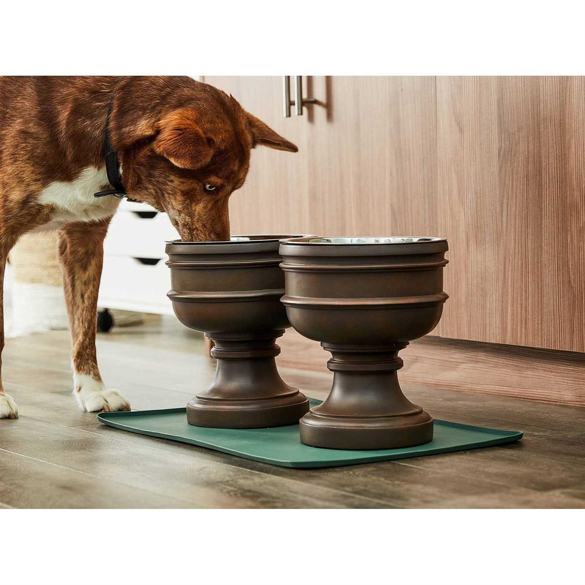 Elevated Dog Bowl X76370