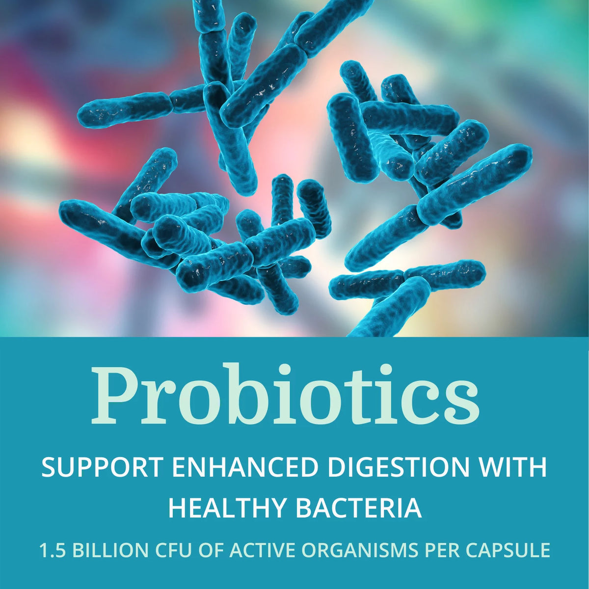 Probiotic & Prebiotic Digestive Supplement T7140