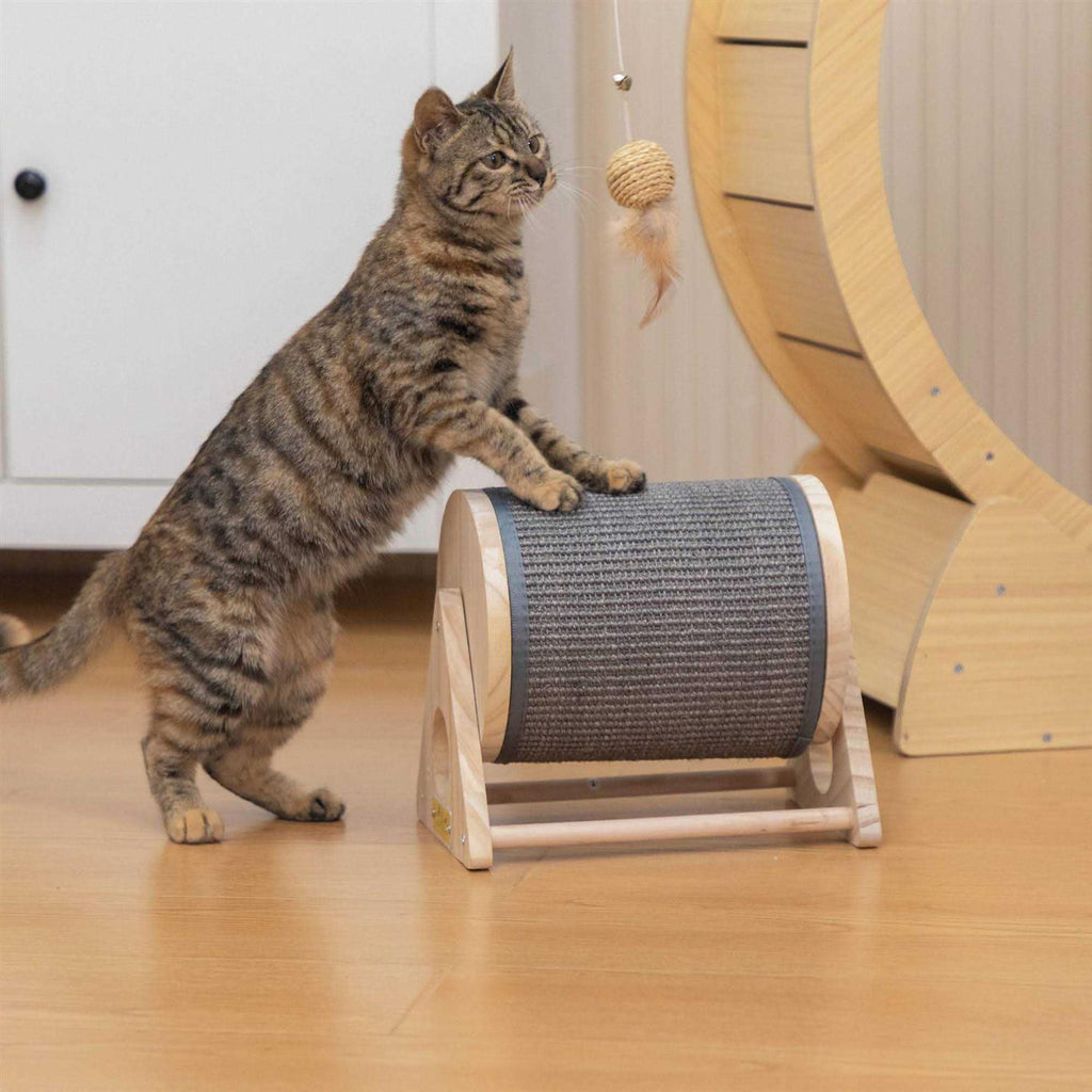 Cat Scratching Post Exercise Wheel I6441