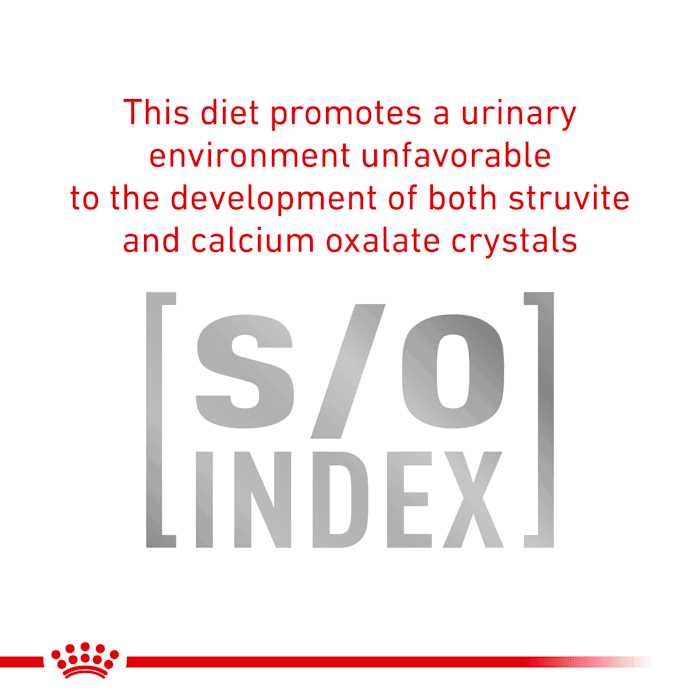 Urinary SO Dog Food J7897