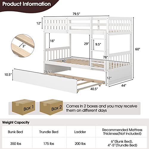 White Twin Over Twin Bunk Bed with Trundle T44003