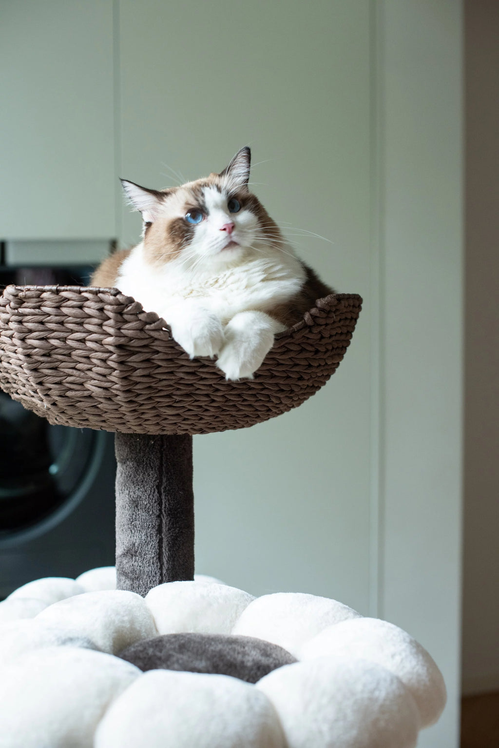 Natural Blossom Woven Tree Branches 6-Level Cat Tree with Hammock T37213
