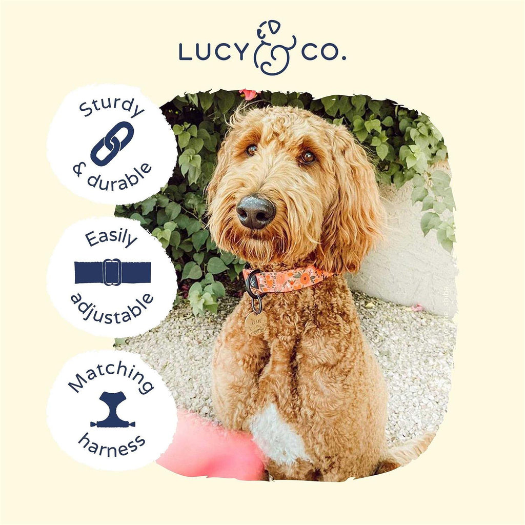 Pink Dog Collar S851