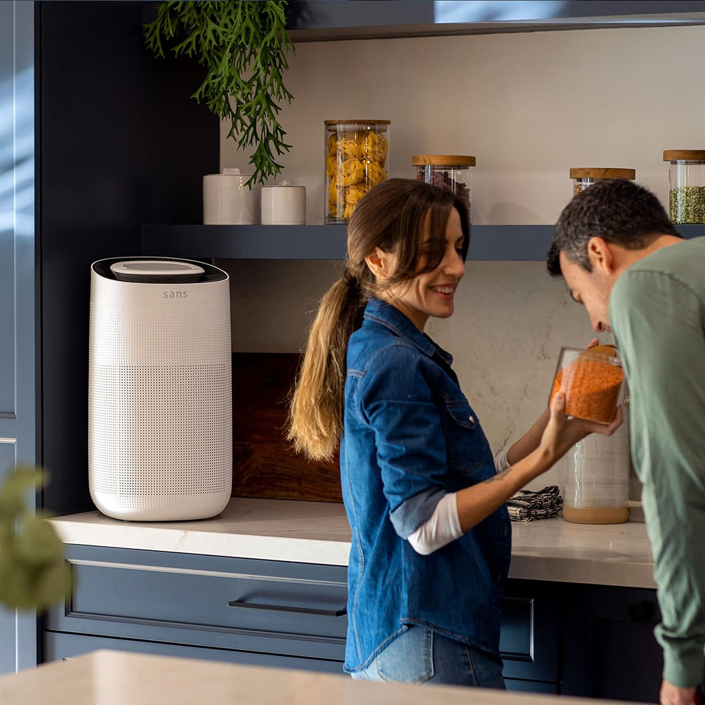 HEPA 13 Air Purifier with Activated Carbon and UV-C Light D1607