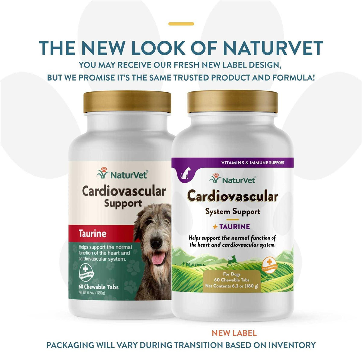 Cardiovascular Support for Dogs R958