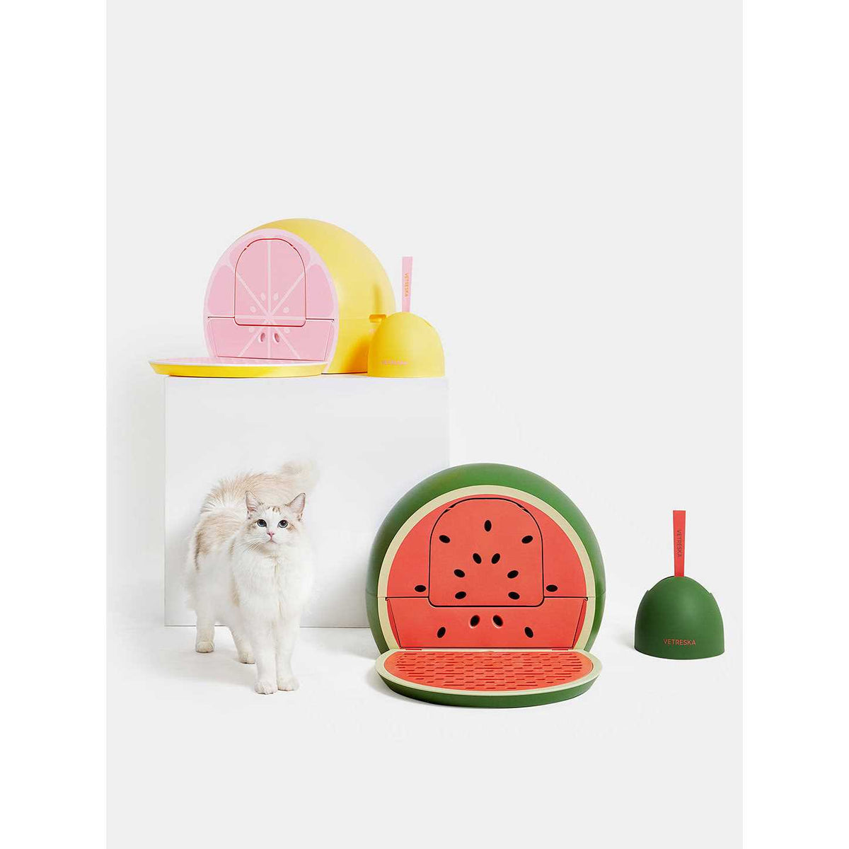 Kitty Kove B971011