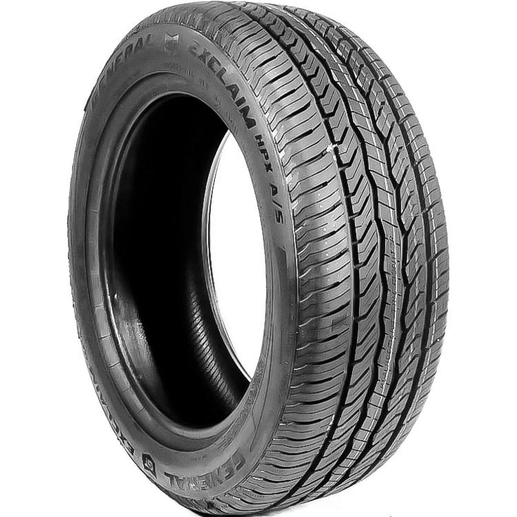 225/55R17 97V All Season Passenger Tire R491