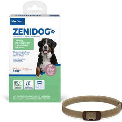 Long-acting Collar Medium/large S250