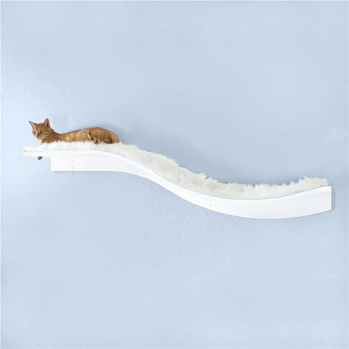Cat Shelf J14784