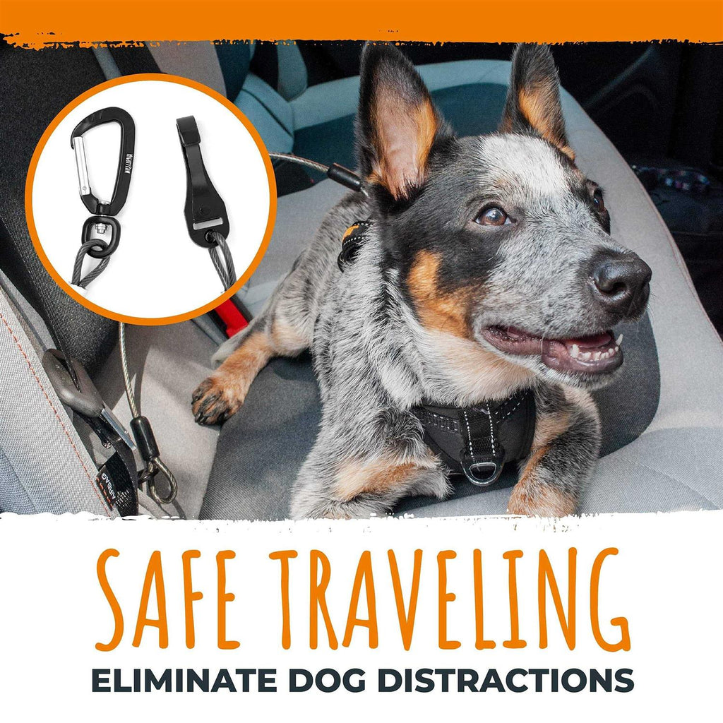 Chew-Proof Dog Seat Belt L411714