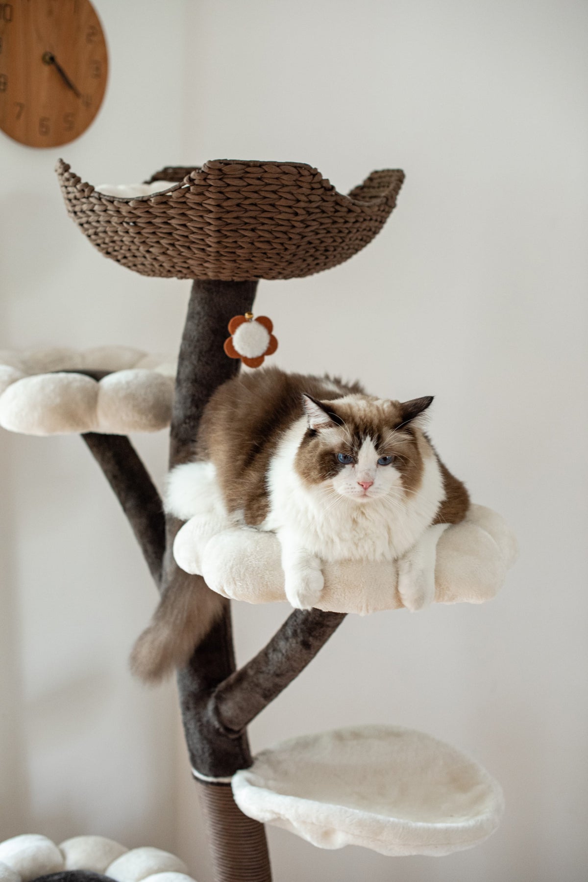 Natural Blossom Woven Tree Branches 6-Level Cat Tree with Hammock T37213