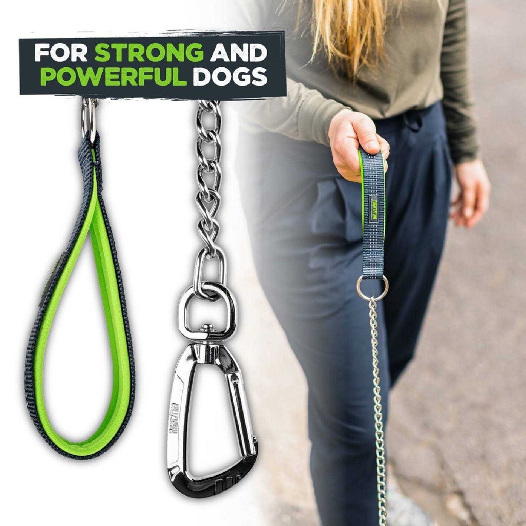 Chew-Proof Dog Seat Belt L411714