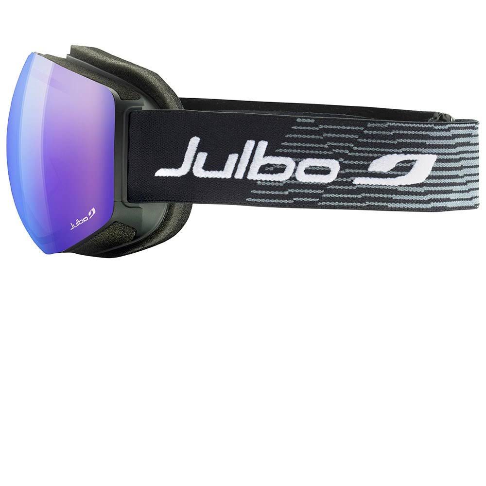 Ski Goggles D901
