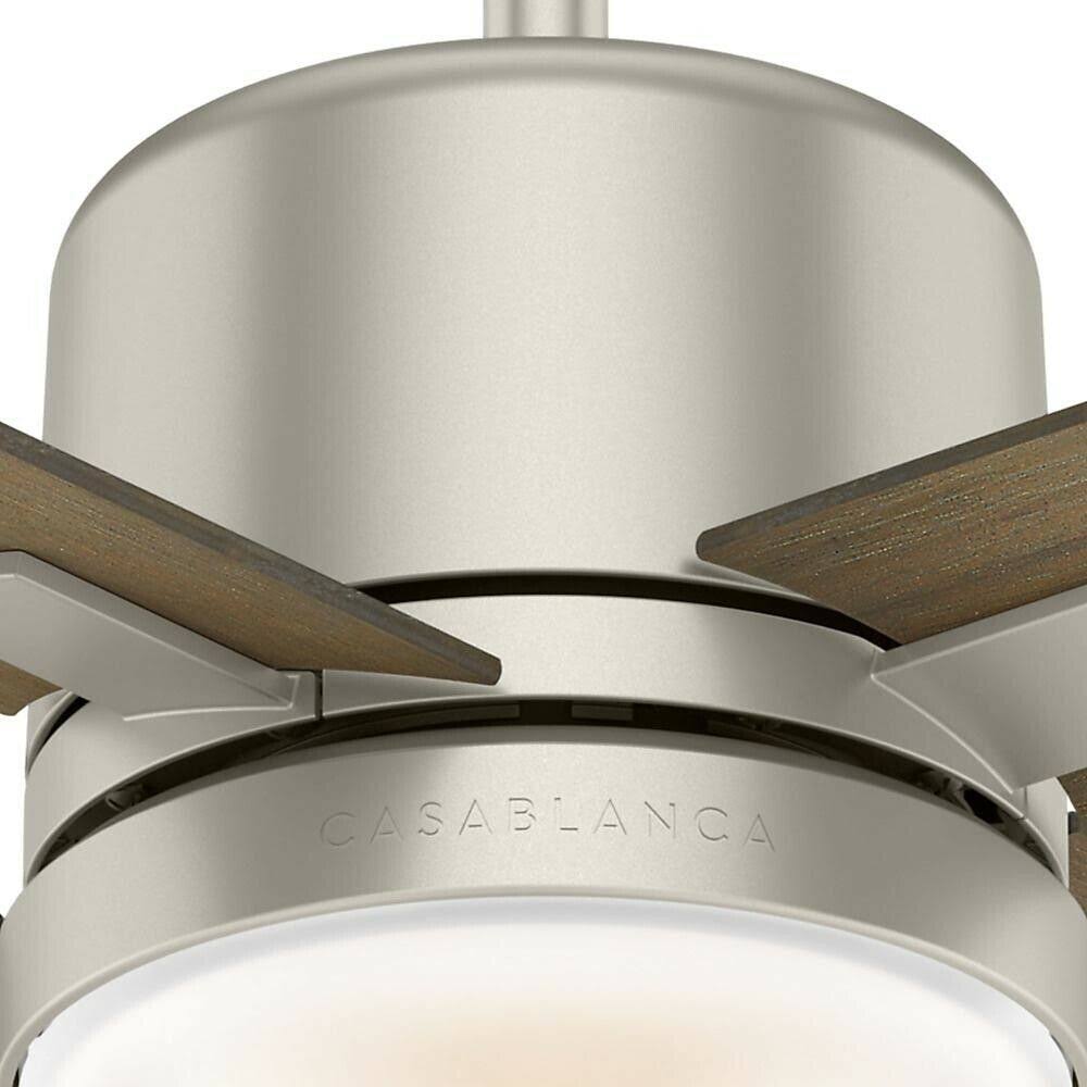 Ceiling Fan Z57826