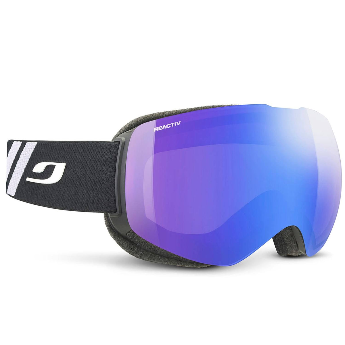 Ski Goggles D901