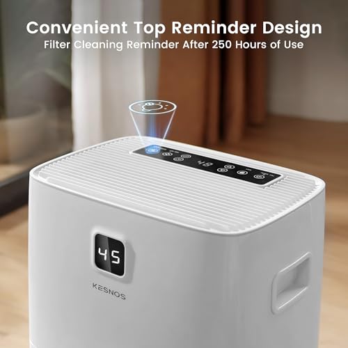 120 Pints Energy Star Dehumidifier with Drain Hose N841